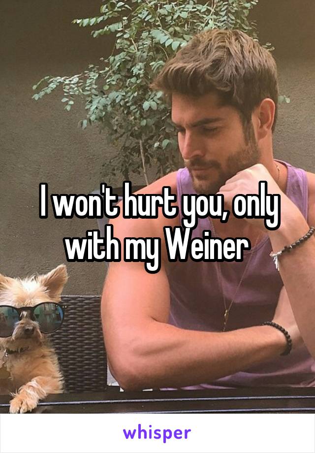 I won't hurt you, only with my Weiner 