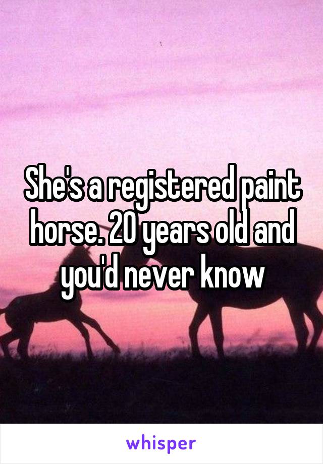 She's a registered paint horse. 20 years old and you'd never know