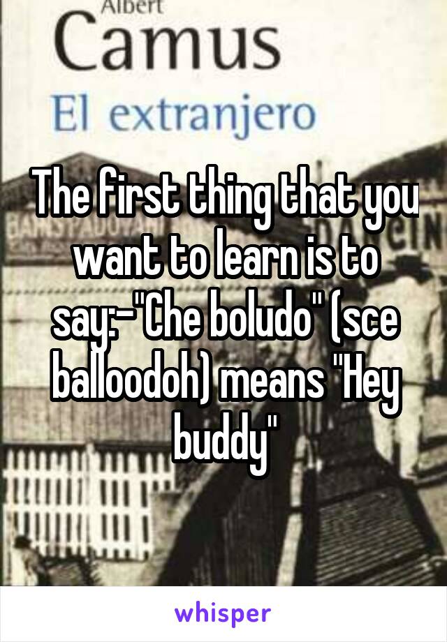 The first thing that you want to learn is to say:-"Che boludo" (sce balloodoh) means "Hey buddy"