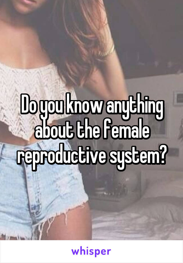 Do you know anything about the female reproductive system?