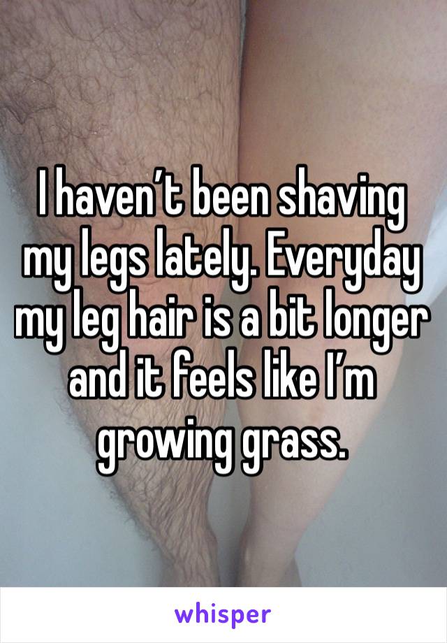 I haven’t been shaving my legs lately. Everyday my leg hair is a bit longer and it feels like I’m growing grass.