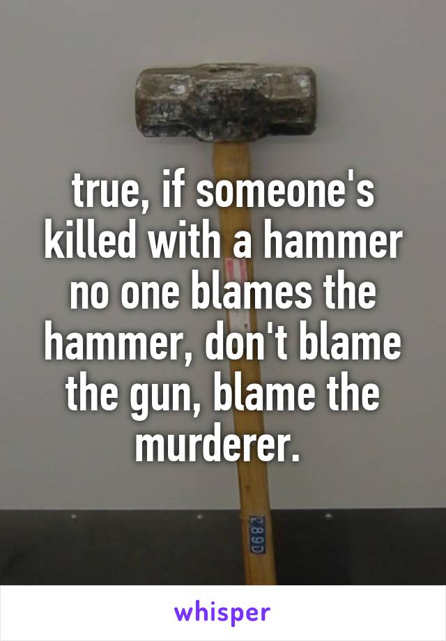 true, if someone's killed with a hammer no one blames the hammer, don't blame the gun, blame the murderer. 