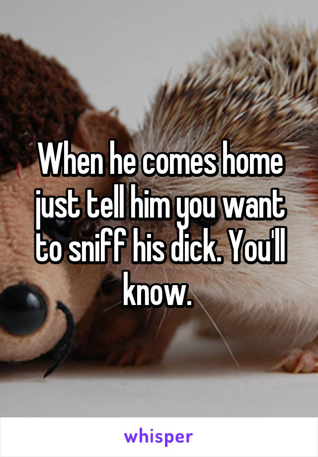 When he comes home just tell him you want to sniff his dick. You'll know. 