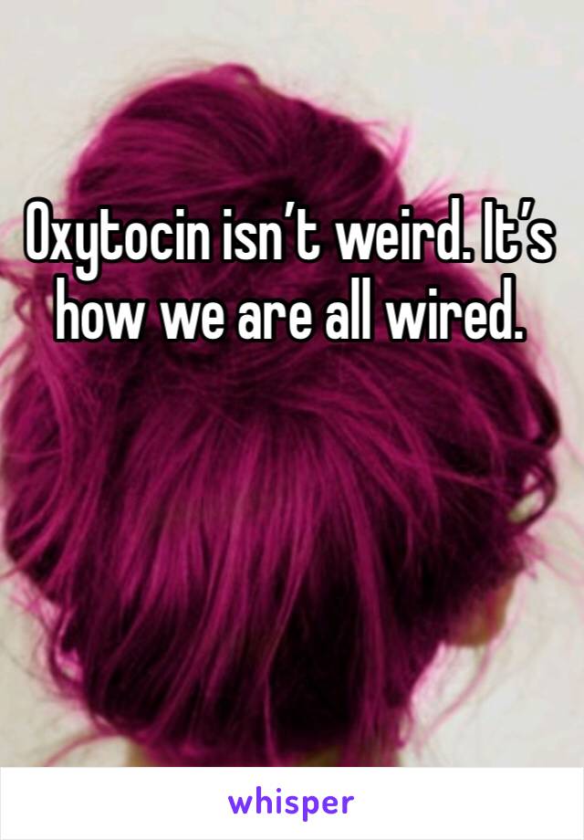 Oxytocin isn’t weird. It’s how we are all wired.