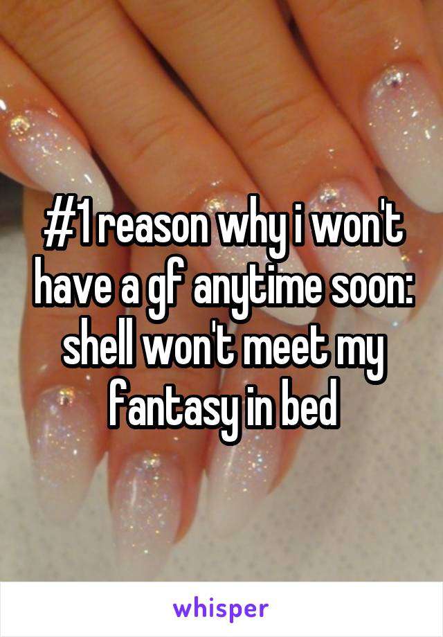 #1 reason why i won't have a gf anytime soon: shell won't meet my fantasy in bed