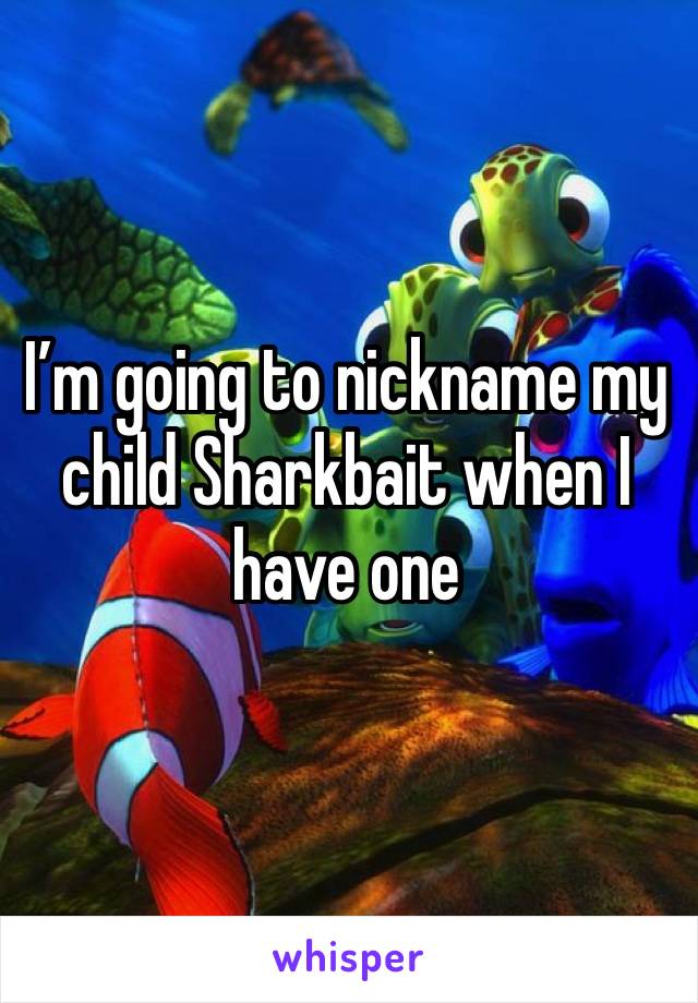 I’m going to nickname my child Sharkbait when I have one 