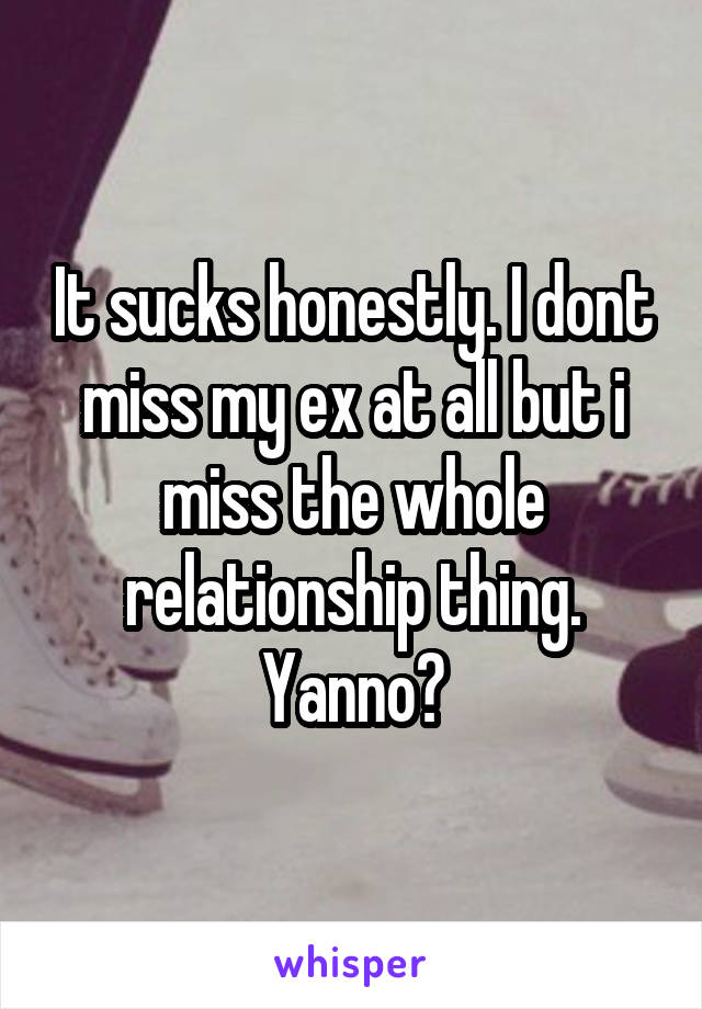 It sucks honestly. I dont miss my ex at all but i miss the whole relationship thing. Yanno?