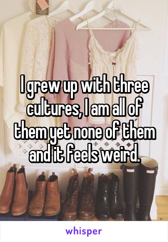 I grew up with three cultures, I am all of them yet none of them and it feels weird.