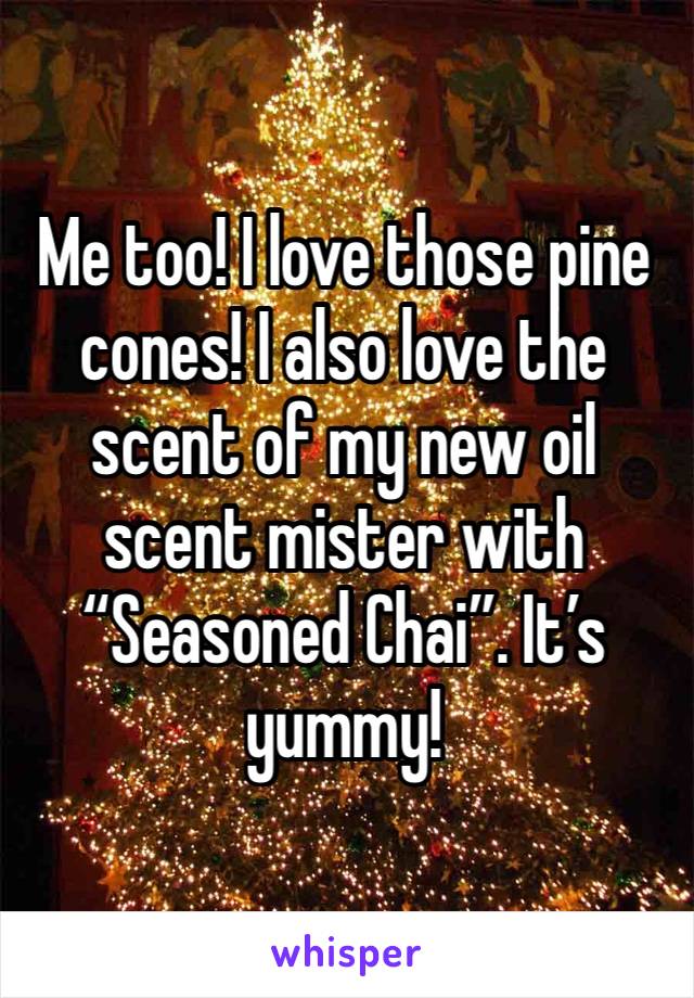 Me too! I love those pine cones! I also love the scent of my new oil scent mister with “Seasoned Chai”. It’s yummy! 