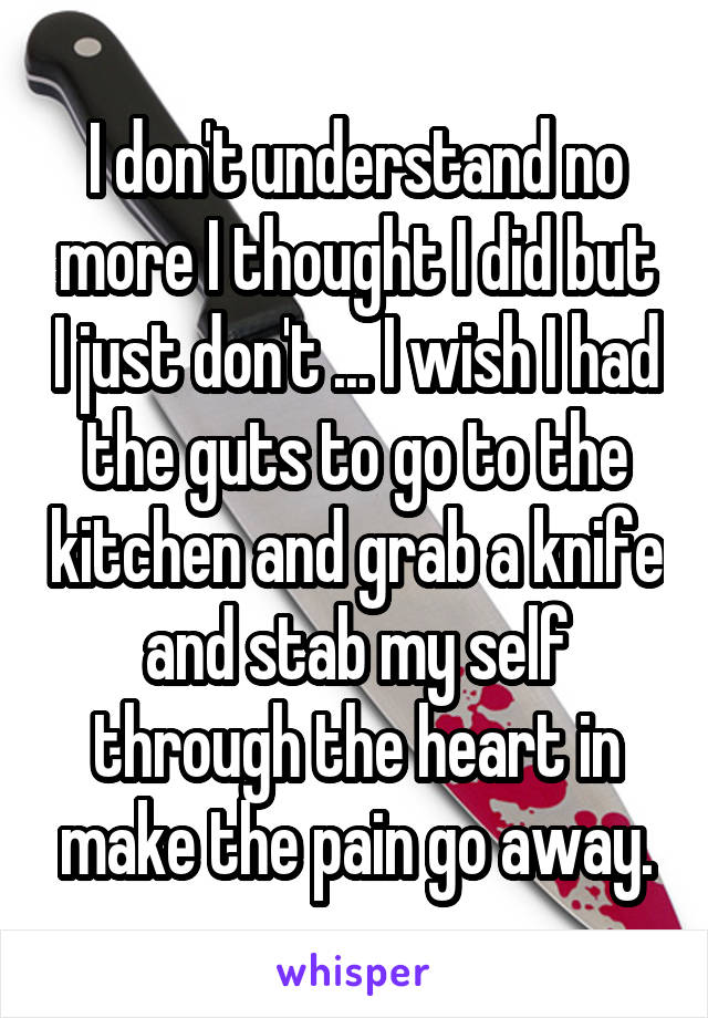 I don't understand no more I thought I did but I just don't ... I wish I had the guts to go to the kitchen and grab a knife and stab my self through the heart in make the pain go away.