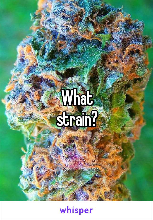 What
strain?