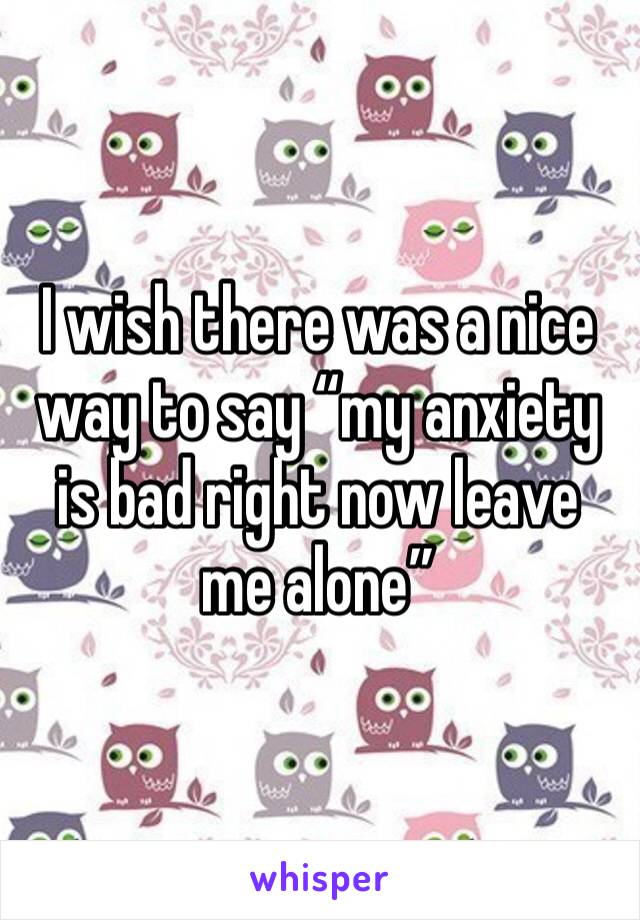 I wish there was a nice way to say “my anxiety is bad right now leave me alone”