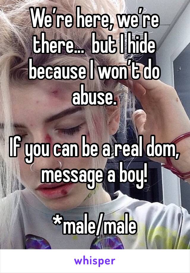 We’re here, we’re there...  but I hide because I won’t do abuse.

If you can be a real dom, message a boy! 

*male/male