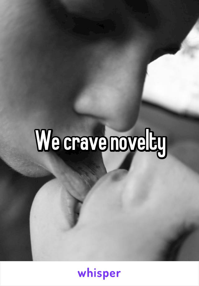 We crave novelty