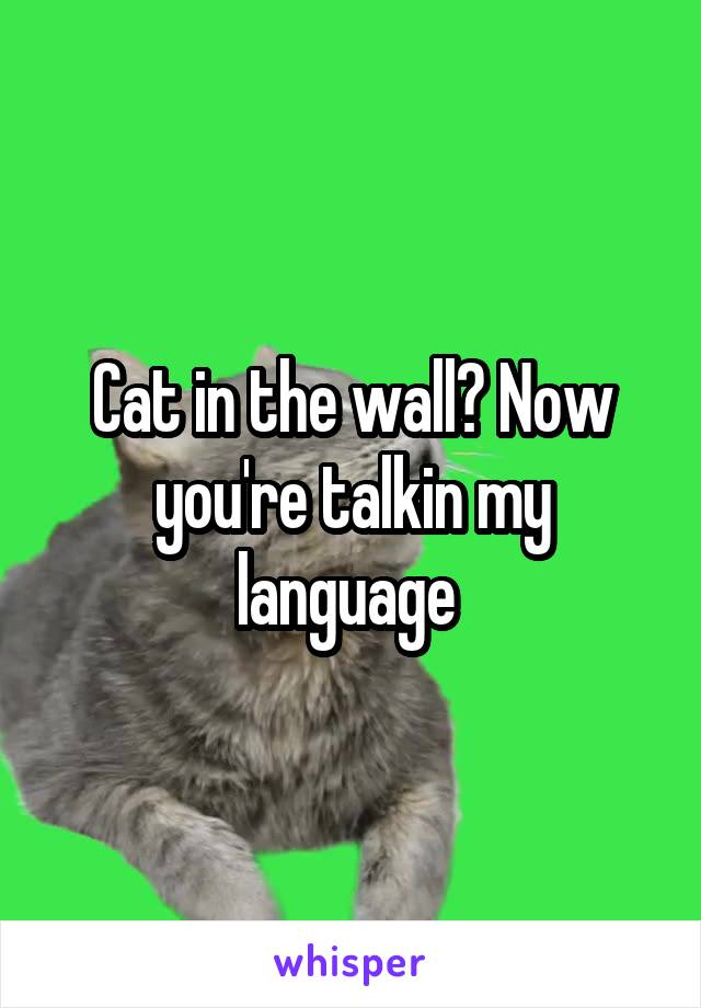 Cat in the wall? Now you're talkin my language 