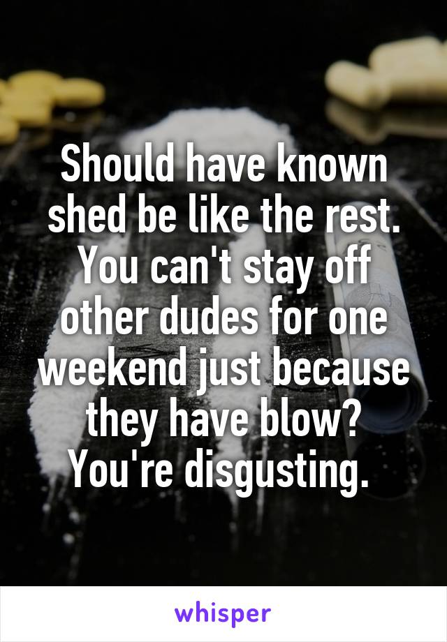 Should have known shed be like the rest. You can't stay off other dudes for one weekend just because they have blow? You're disgusting. 