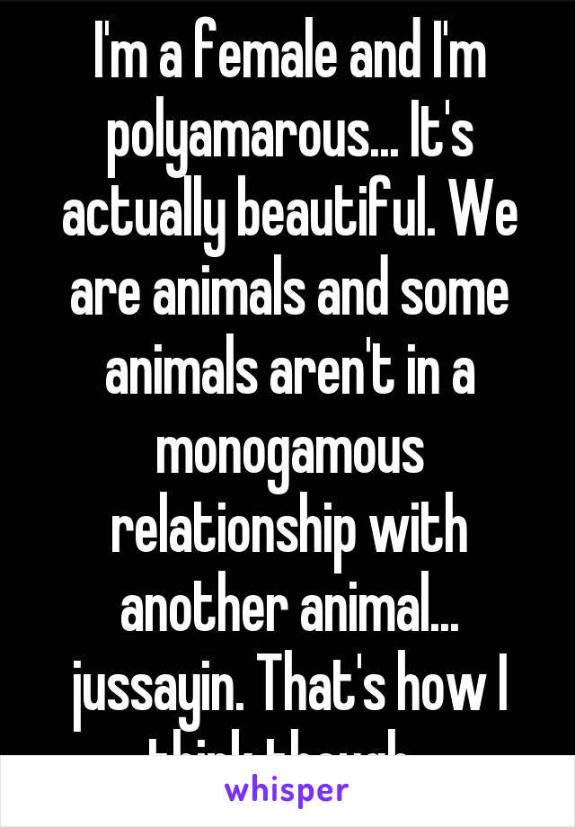 I'm a female and I'm polyamarous... It's actually beautiful. We are animals and some animals aren't in a monogamous relationship with another animal... jussayin. That's how I think though. 