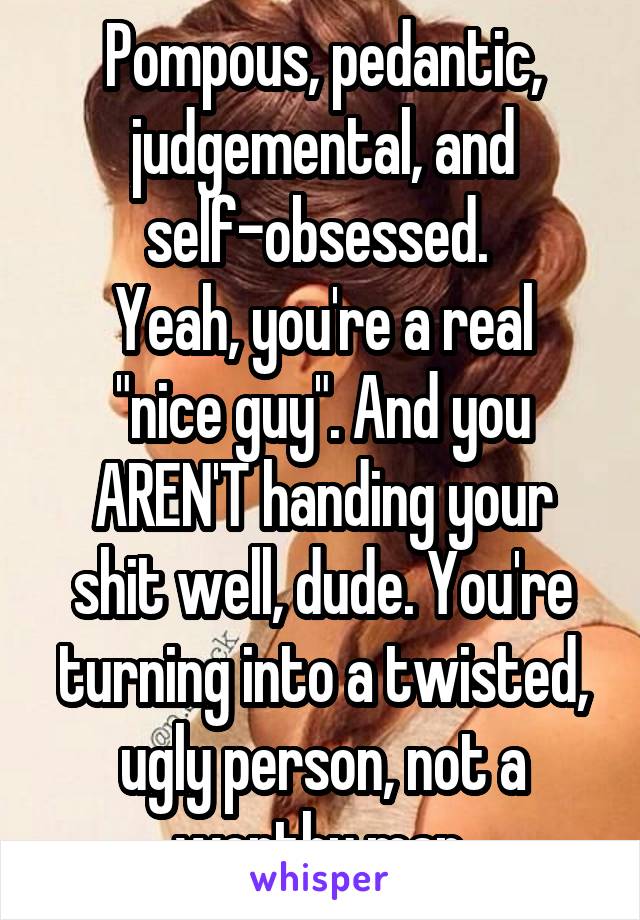 Pompous, pedantic, judgemental, and self-obsessed. 
Yeah, you're a real "nice guy". And you AREN'T handing your shit well, dude. You're turning into a twisted, ugly person, not a worthy man.