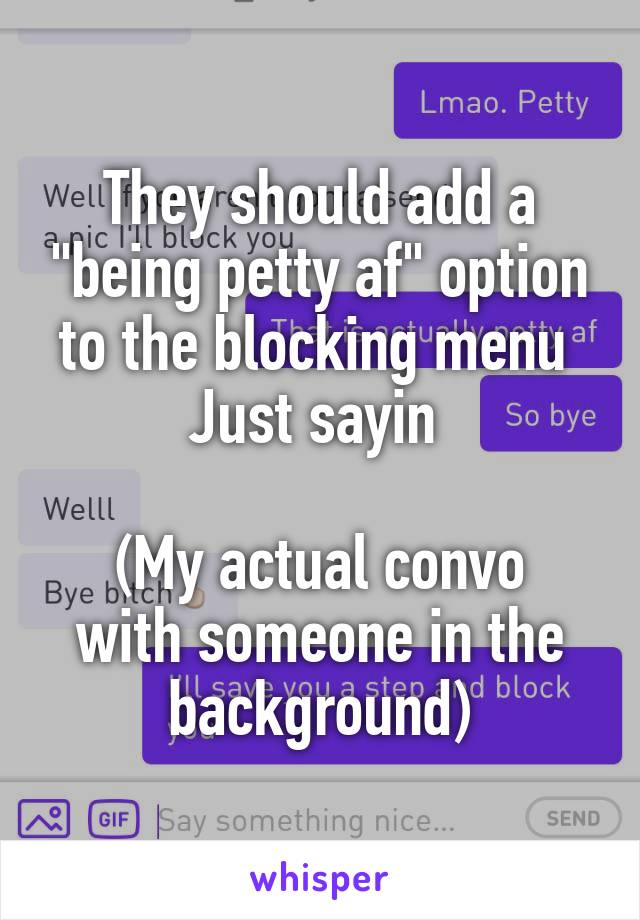 They should add a "being petty af" option to the blocking menu 
Just sayin 

(My actual convo with someone in the background)