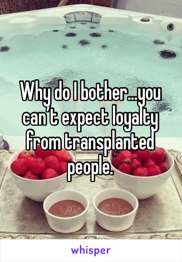 Why do I bother...you can’t expect loyalty from transplanted people. 