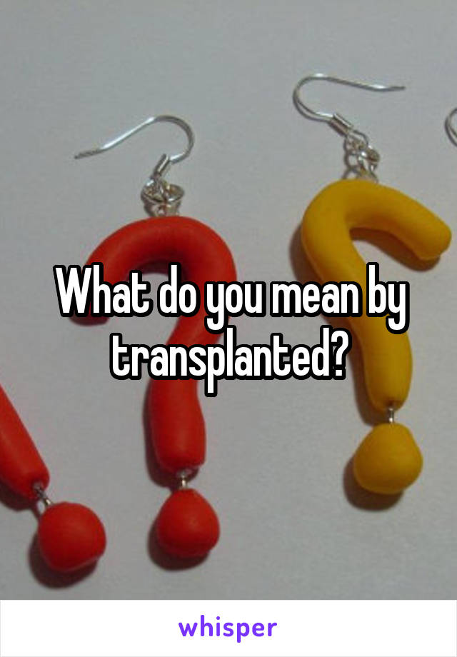 What do you mean by transplanted?