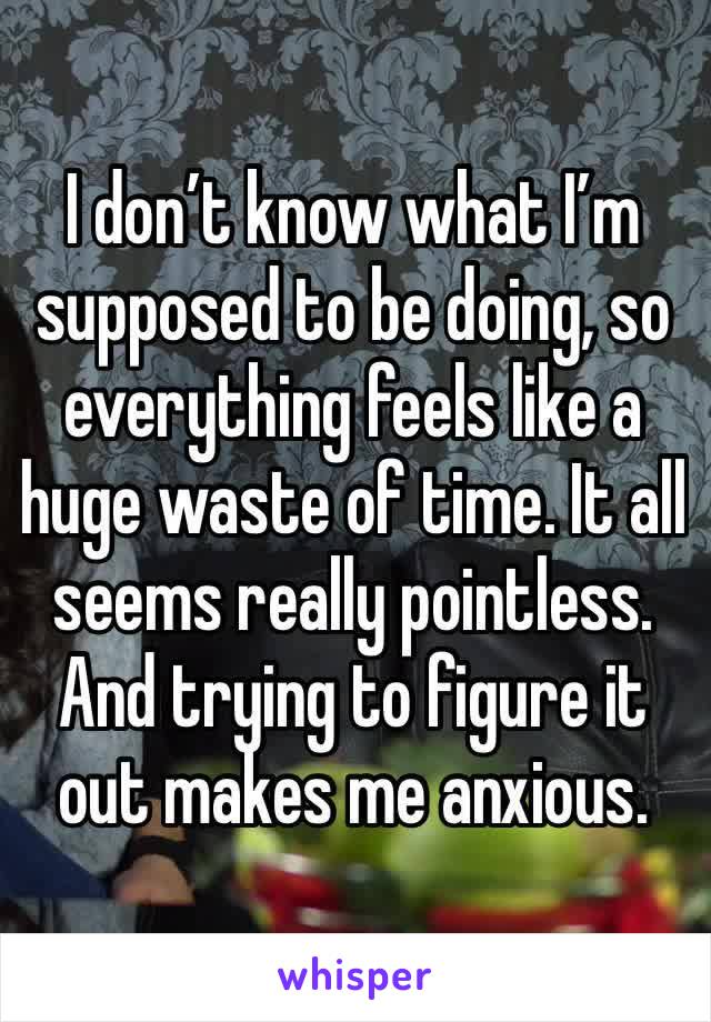 I don’t know what I’m supposed to be doing, so everything feels like a huge waste of time. It all seems really pointless. And trying to figure it out makes me anxious. 