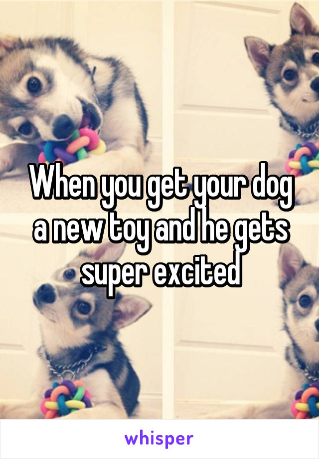 When you get your dog a new toy and he gets super excited