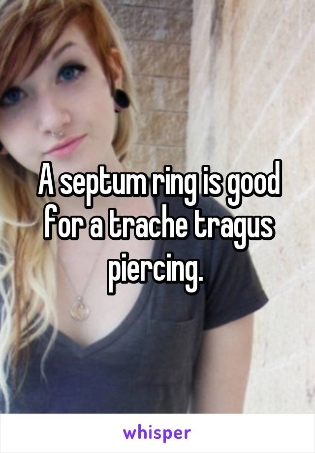 A septum ring is good for a trache tragus piercing. 