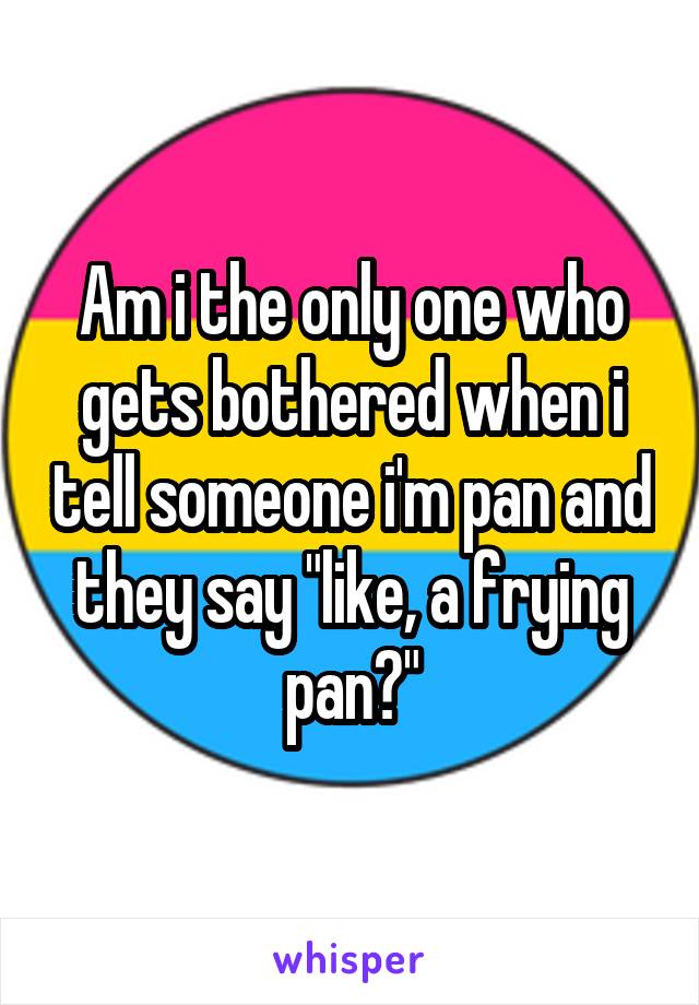 Am i the only one who gets bothered when i tell someone i'm pan and they say "like, a frying pan?"