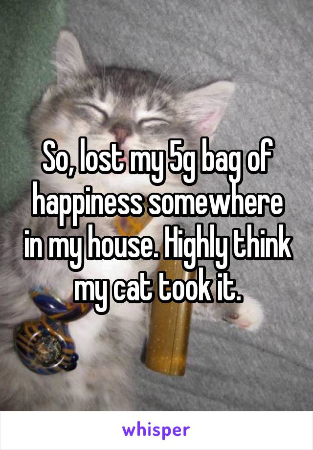 So, lost my 5g bag of happiness somewhere in my house. Highly think my cat took it.