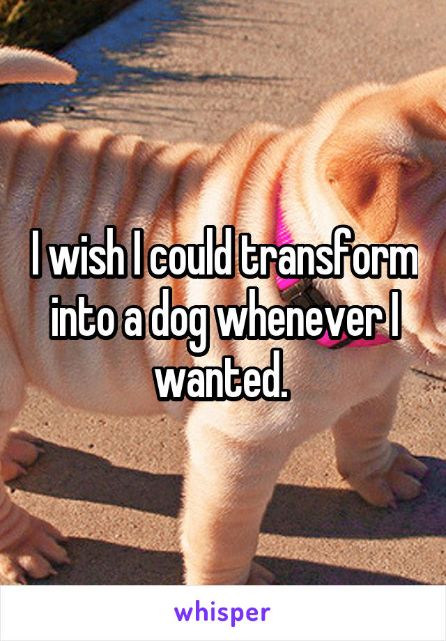 I wish I could transform into a dog whenever I wanted. 