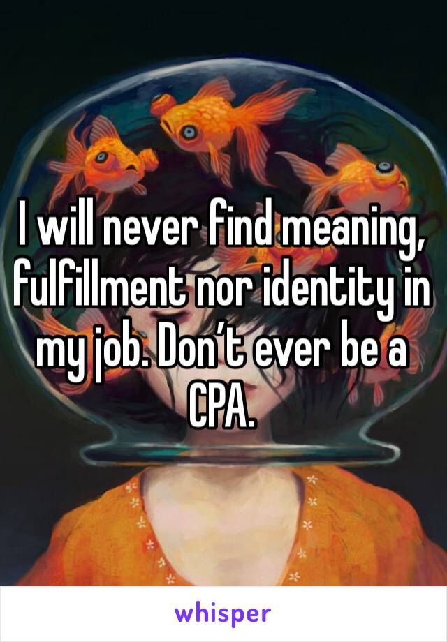 I will never find meaning, fulfillment nor identity in my job. Don’t ever be a CPA.