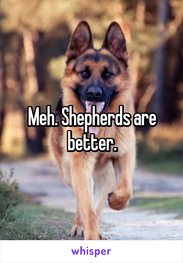 Meh. Shepherds are better.