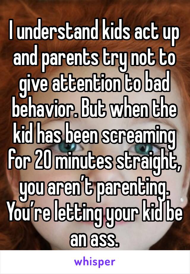 I understand kids act up and parents try not to give attention to bad behavior. But when the kid has been screaming for 20 minutes straight, you aren’t parenting. You’re letting your kid be an ass. 