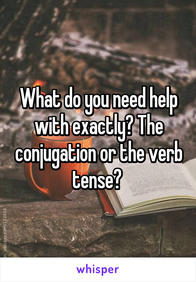 What do you need help with exactly? The conjugation or the verb tense? 