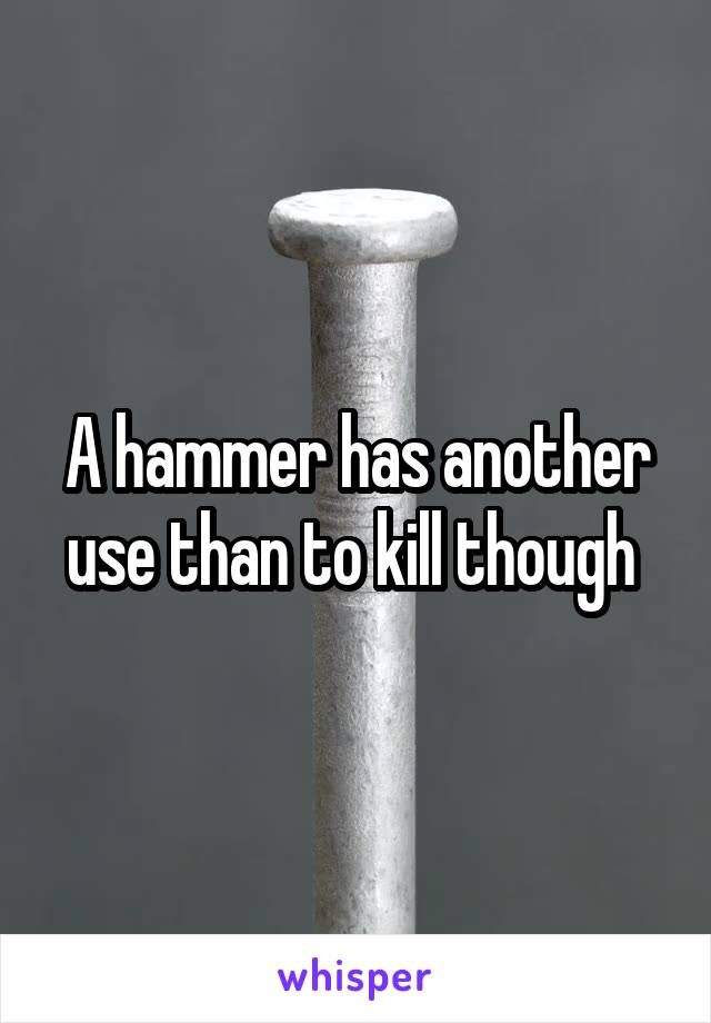 A hammer has another use than to kill though 