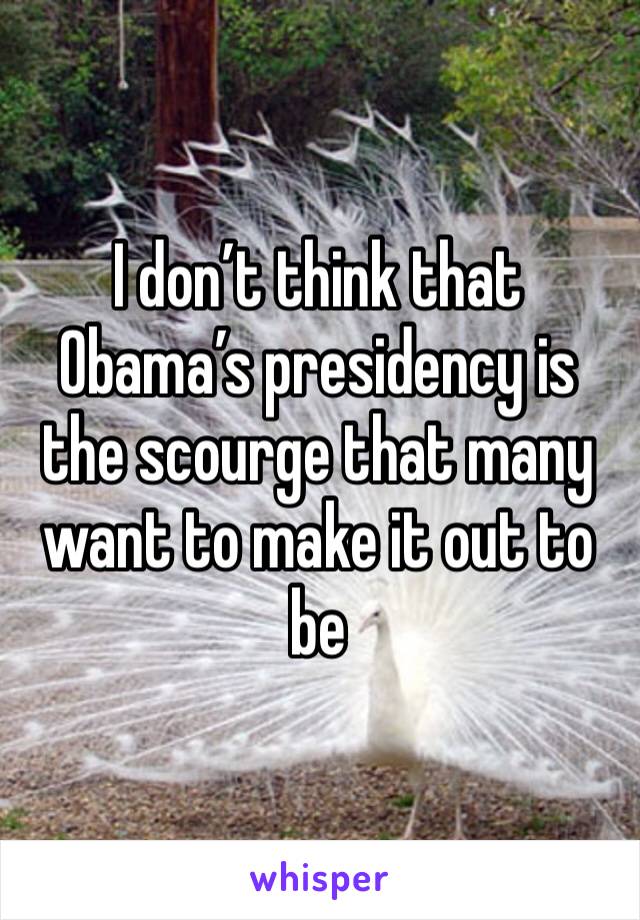 I don’t think that Obama’s presidency is the scourge that many want to make it out to be