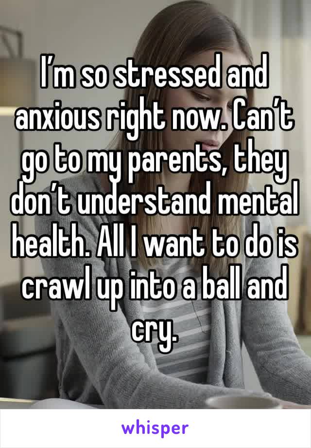 I’m so stressed and anxious right now. Can’t go to my parents, they don’t understand mental health. All I want to do is crawl up into a ball and cry.