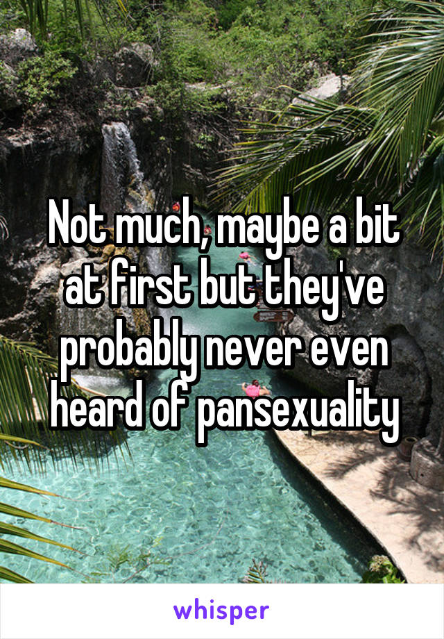 Not much, maybe a bit at first but they've probably never even heard of pansexuality