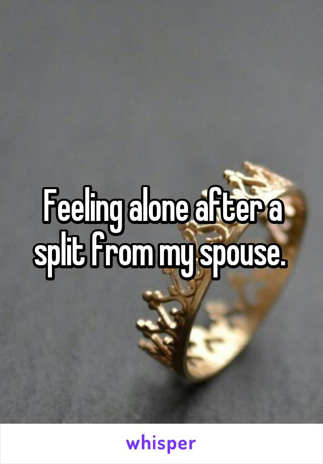 Feeling alone after a split from my spouse. 