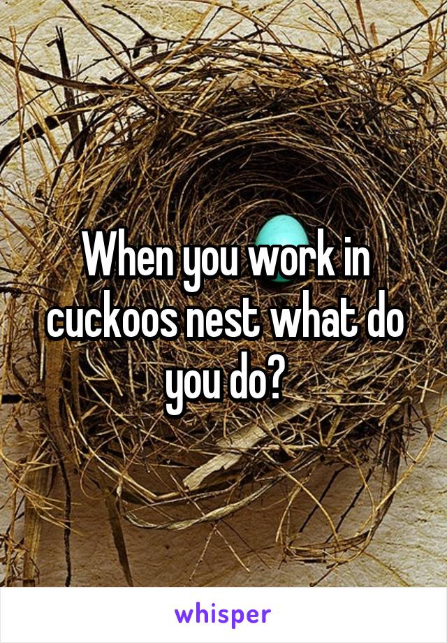 When you work in cuckoos nest what do you do?