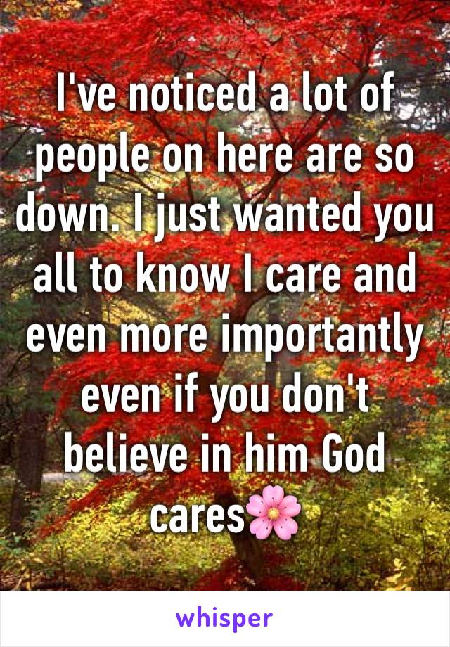 I've noticed a lot of people on here are so down. I just wanted you all to know I care and even more importantly even if you don't believe in him God cares🌸