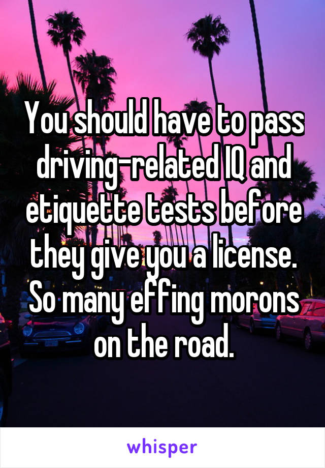 You should have to pass driving-related IQ and etiquette tests before they give you a license. So many effing morons on the road.