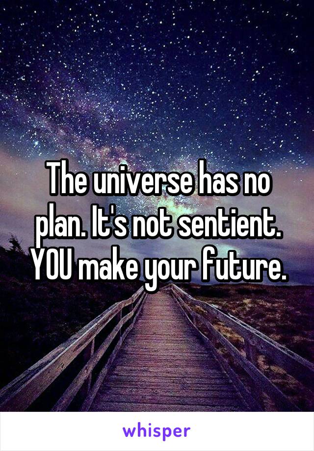 The universe has no plan. It's not sentient. YOU make your future.