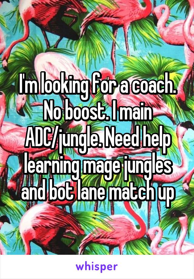 I'm looking for a coach. No boost. I main ADC/jungle. Need help learning mage jungles and bot lane match up