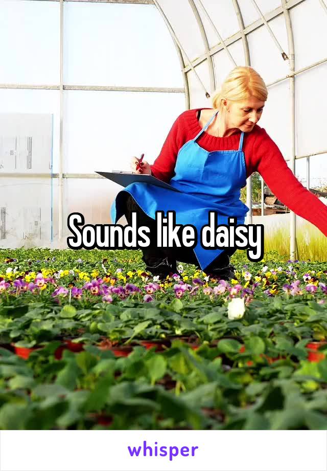 Sounds like daisy