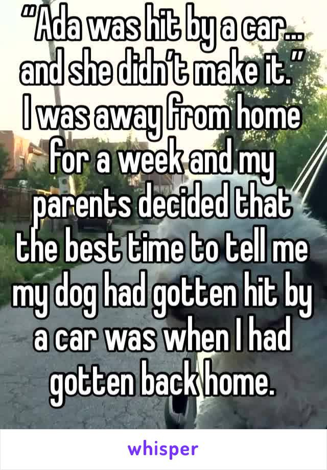 “Ada was hit by a car... and she didn’t make it.”
I was away from home for a week and my parents decided that the best time to tell me my dog had gotten hit by a car was when I had gotten back home.