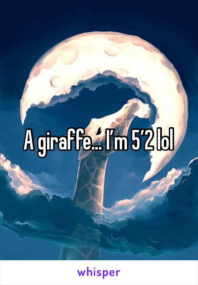 A giraffe... I’m 5’2 lol