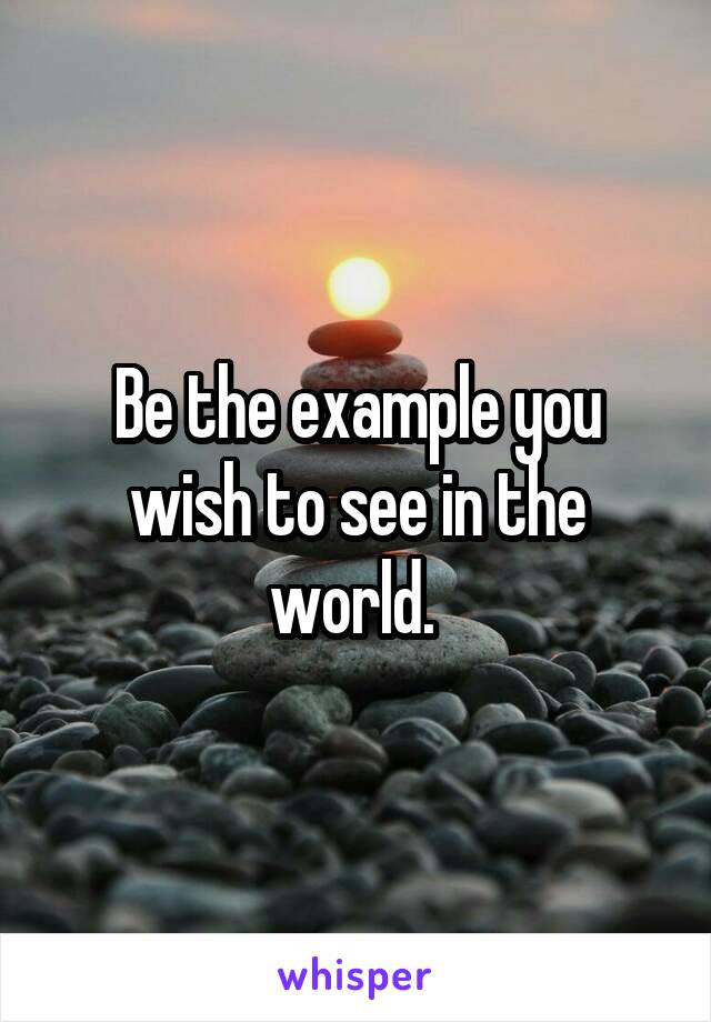 Be the example you wish to see in the world. 