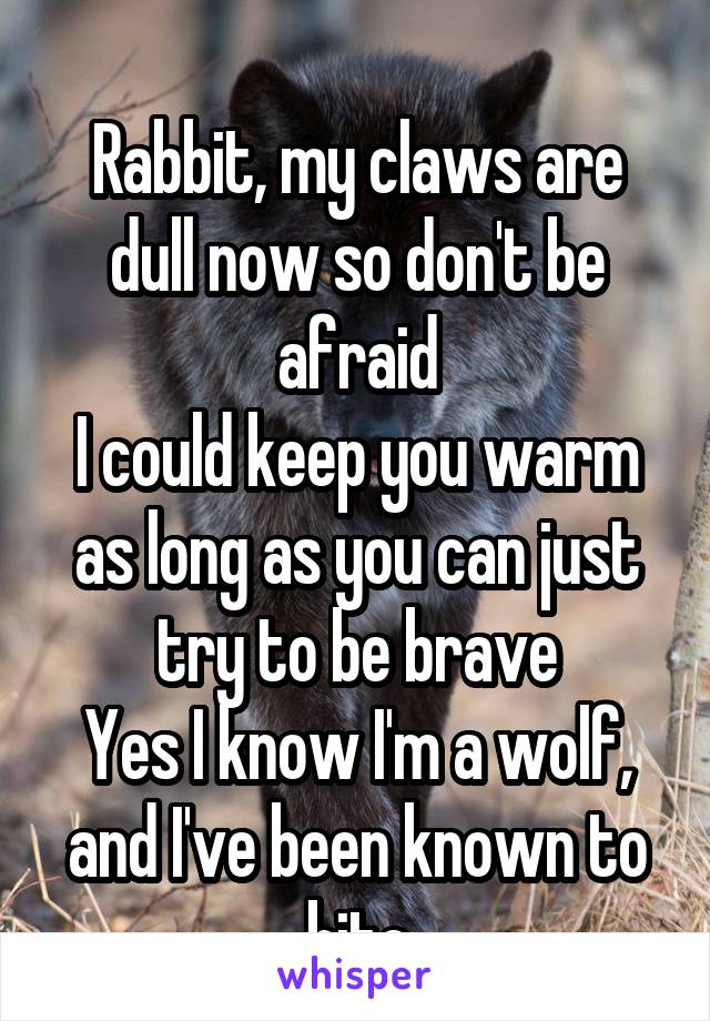 
Rabbit, my claws are dull now so don't be afraid
I could keep you warm as long as you can just try to be brave
Yes I know I'm a wolf, and I've been known to bite